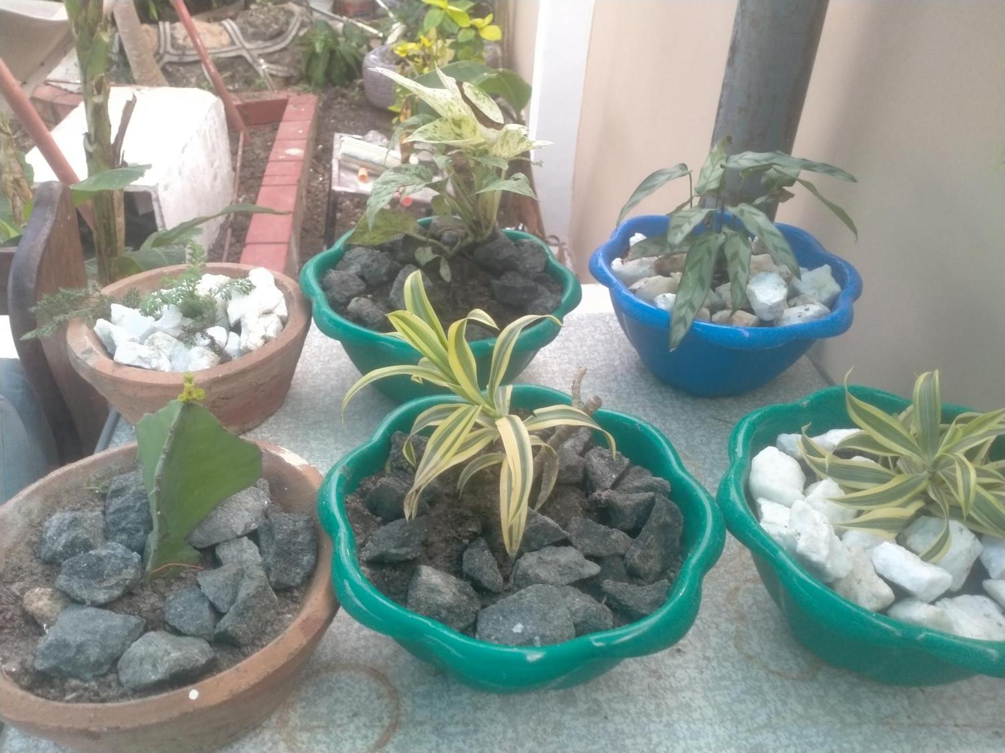 Babajay Family Home Dar es Salaam Bagian luar foto